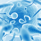 Illustration for article titled A male birth control pill that causes a temporary vasectomy
